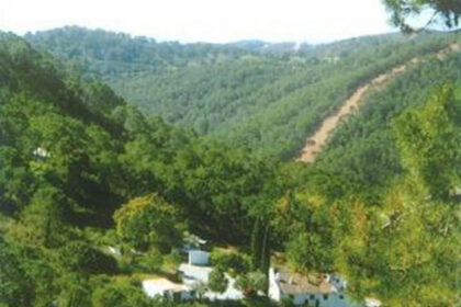 d75707da04069dc862446ea5ec89db29 - 5