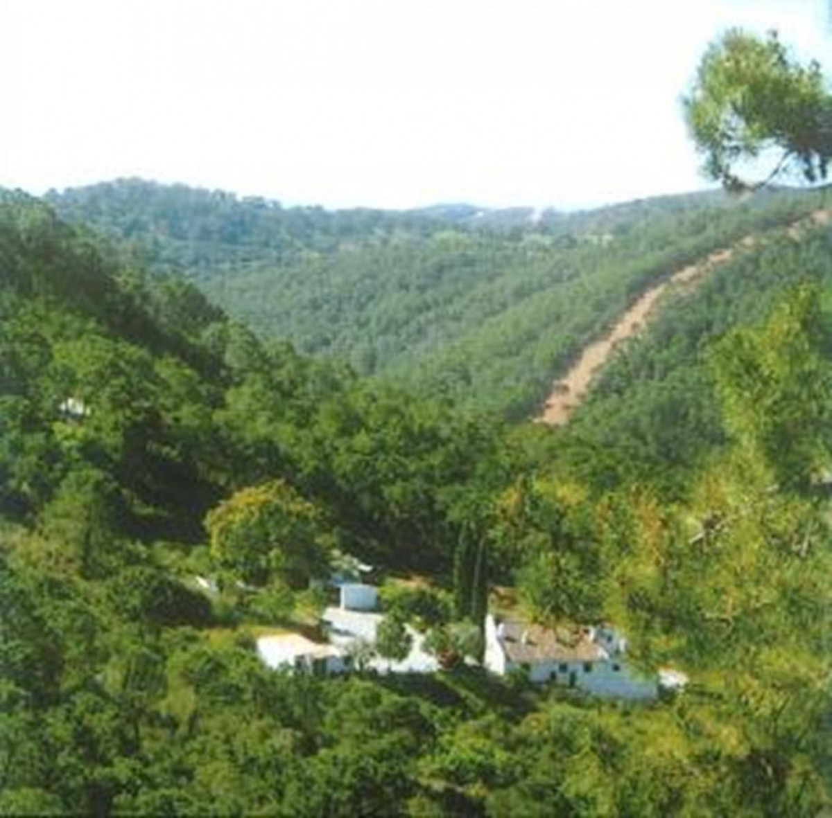 d75707da04069dc862446ea5ec89db29 - 5