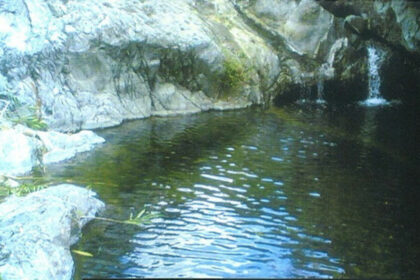 d75707da04069dc862446ea5ec89db29 - 8