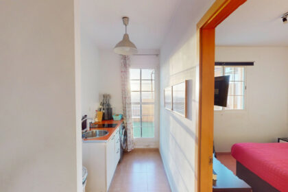 d82e818d7827d0b085185504ebf7795e - 15