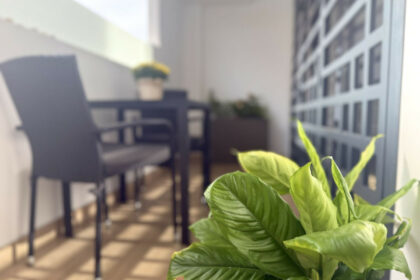 d84b1c97e4bcd1cf83271fc1043ce2bb - 7