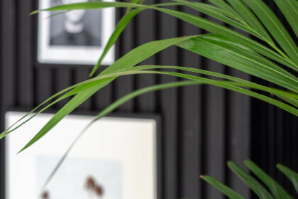 d868f46ac4b9d32f0c92090f59370f13 - 47