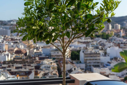 d868f46ac4b9d32f0c92090f59370f13 - 50