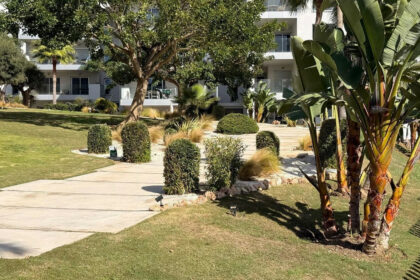 d86b06f55746eaedaed259912078e37c - 64