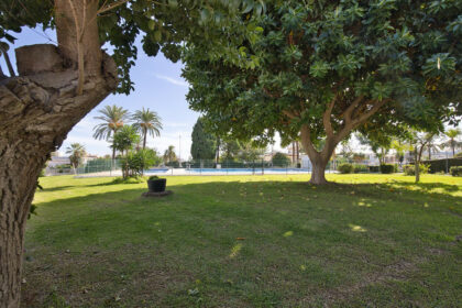 d8abd5bde7aaebe205e2db8719db1755 - 33