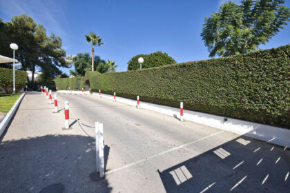 d8abd5bde7aaebe205e2db8719db1755 - 34