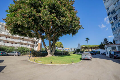 d9e5121abac0b525938a26ca30ffacbc - 24