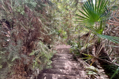 da496c9cfc43934c4f79b1724743dda9 - 37