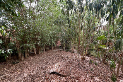 da496c9cfc43934c4f79b1724743dda9 - 38