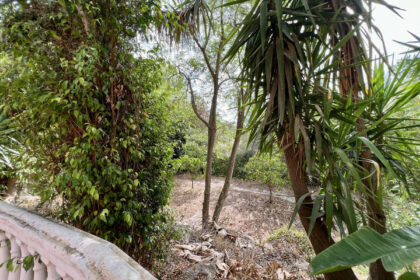 da496c9cfc43934c4f79b1724743dda9 - 39