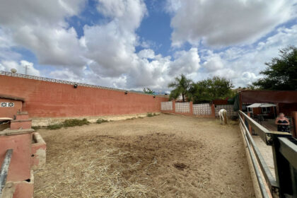 da496c9cfc43934c4f79b1724743dda9 - 50