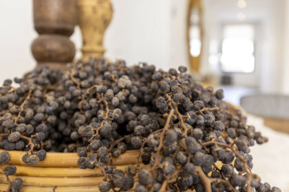 db92ed16e8f3d989bb1bbf3b9bf47fad - 52