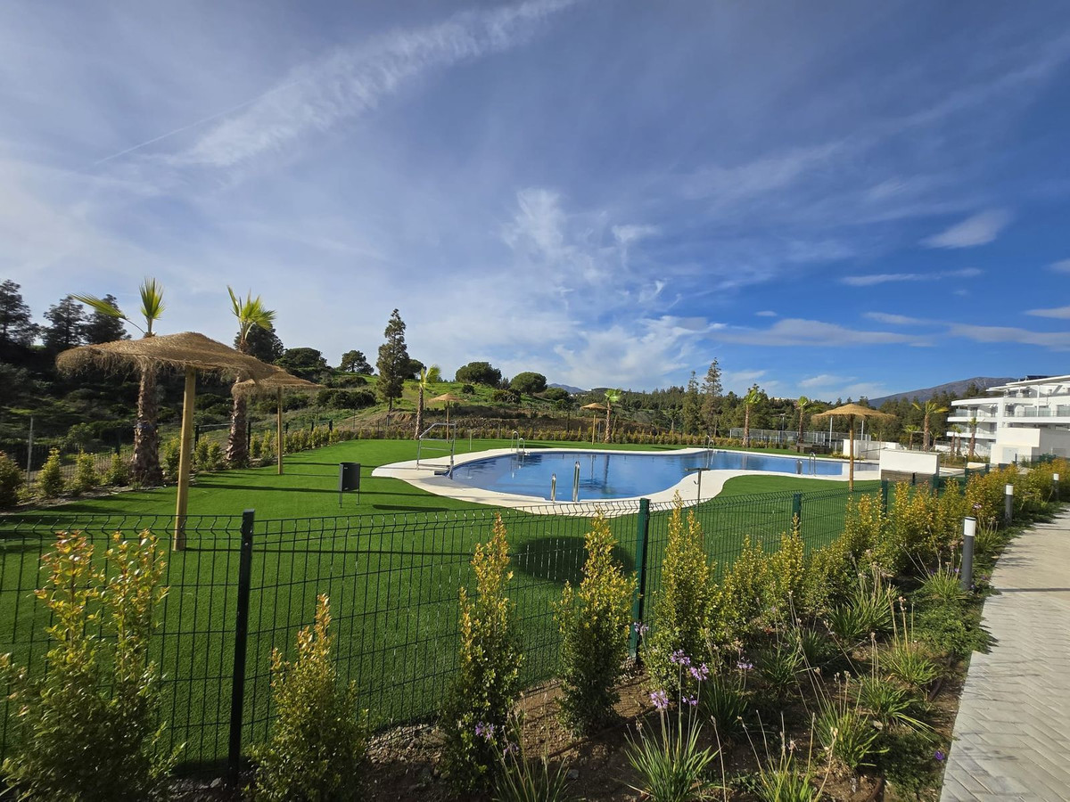 dcabc444b30ca1cccbb96c2c0930b2c0 - 29