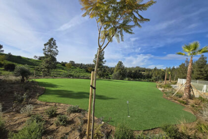 dcabc444b30ca1cccbb96c2c0930b2c0 - 30