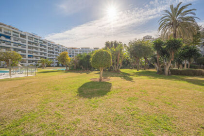 de5e36758288906b6ce68822a5ed18fb - 53