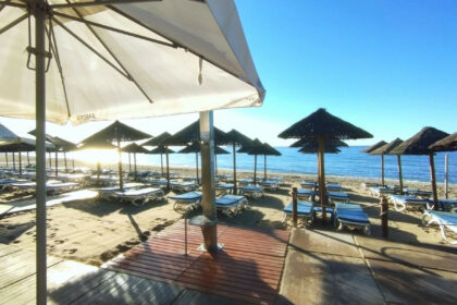 dfd03339ea50ea8cfed181b30515f0f5 - 31