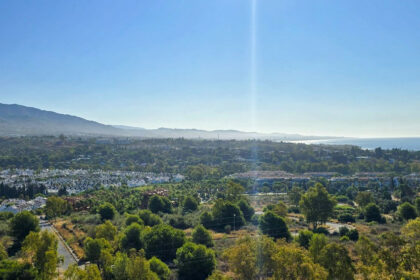 e26a18fb8cf884d0fe4dc2af72c8e83e - 30