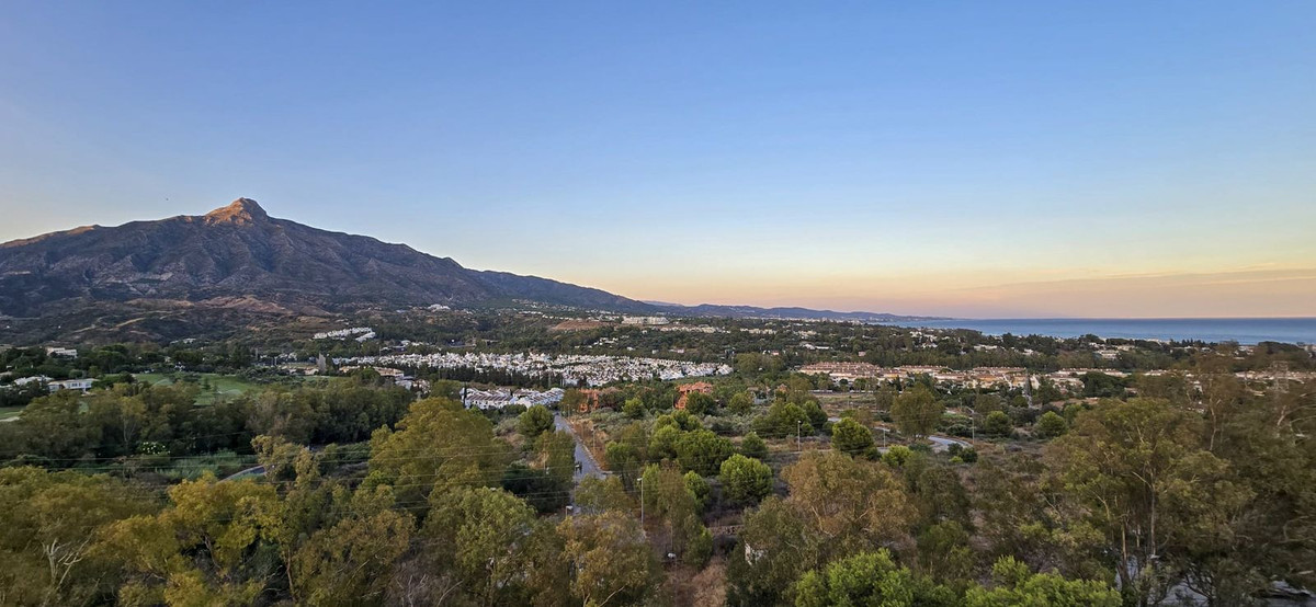 e26a18fb8cf884d0fe4dc2af72c8e83e - 54