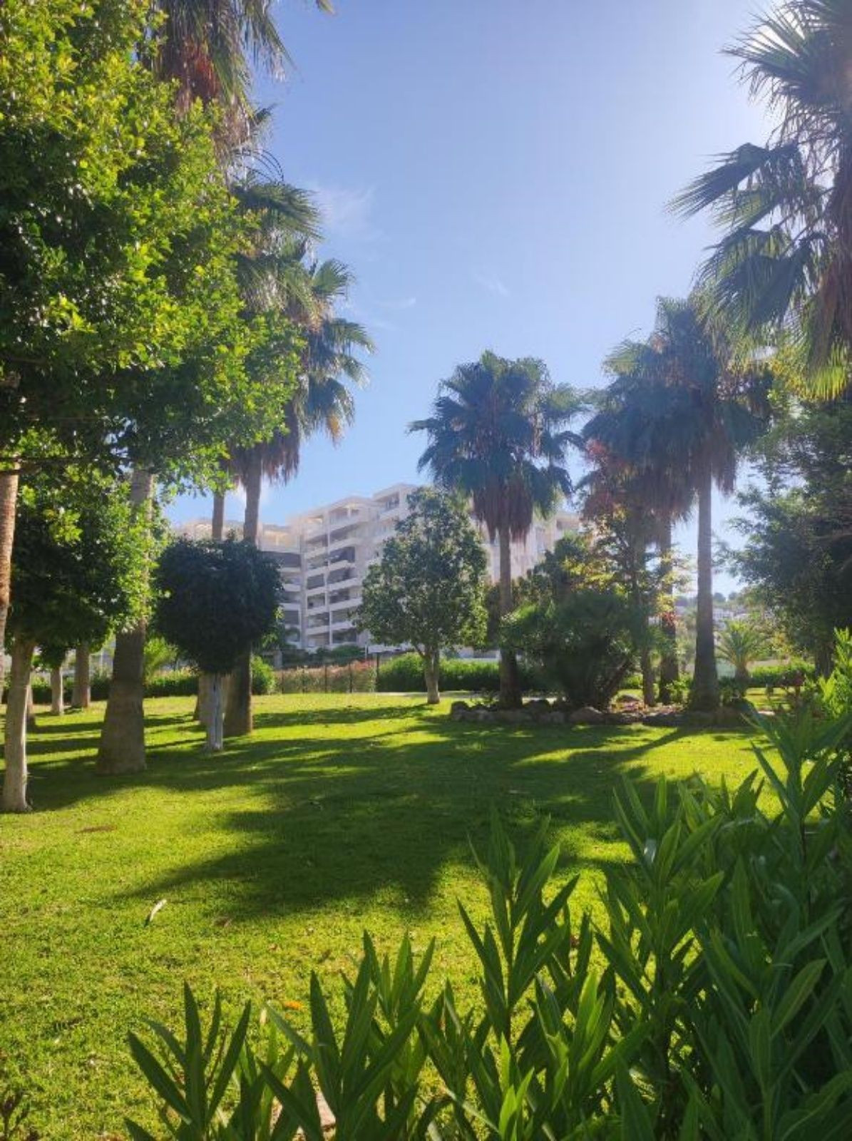 e26a18fb8cf884d0fe4dc2af72c8e83e - 61