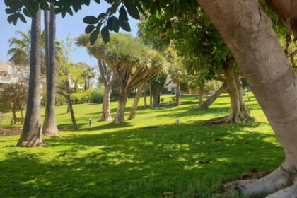 e26a18fb8cf884d0fe4dc2af72c8e83e - 62