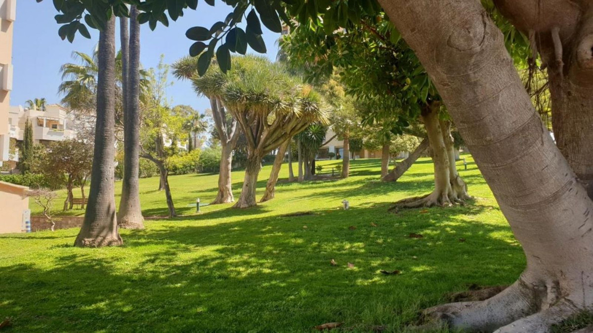 e26a18fb8cf884d0fe4dc2af72c8e83e - 62