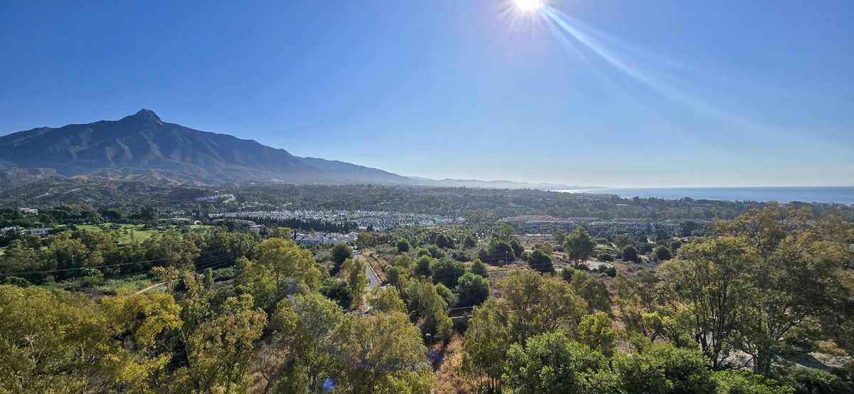 e26a18fb8cf884d0fe4dc2af72c8e83e - 7