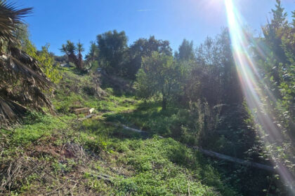 e38b541d518dcd005b757a5049634e8d - 6