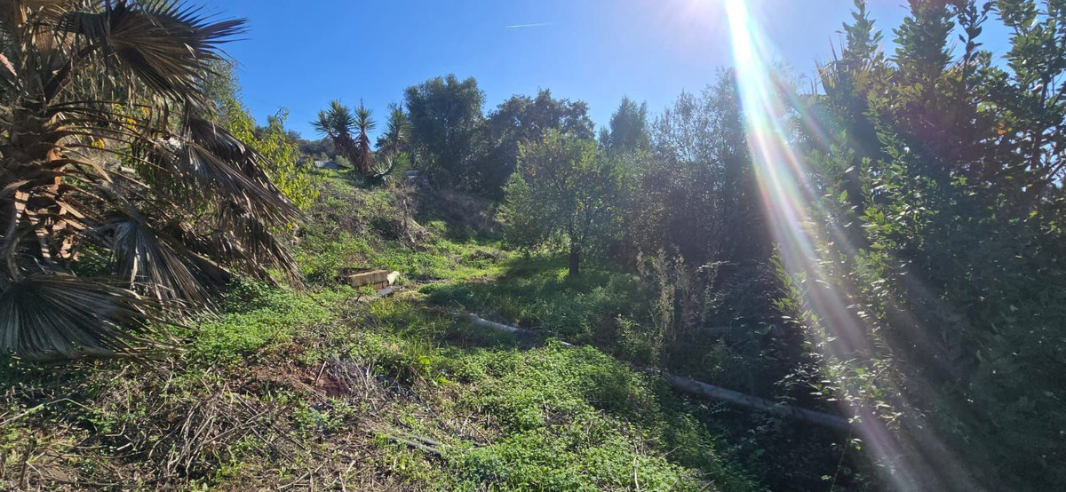 e38b541d518dcd005b757a5049634e8d - 6