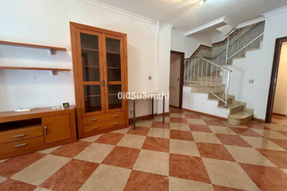 e4e1f10913ef2b48cefb7b2bfe5c4383 - 1