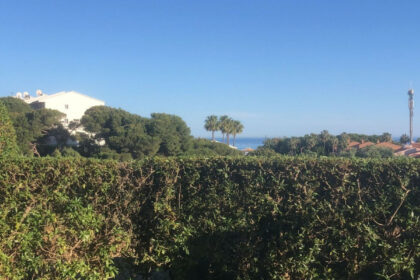 e58dcb824acd69a4059d2a16ce736bec - 14