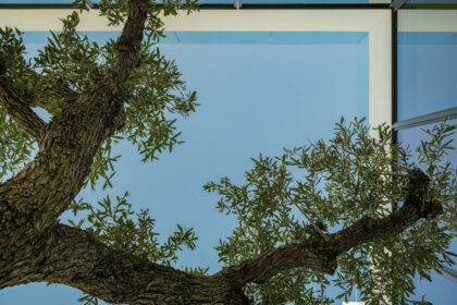 e5b35cbd589a8f3cca24637d01a622ad - 31