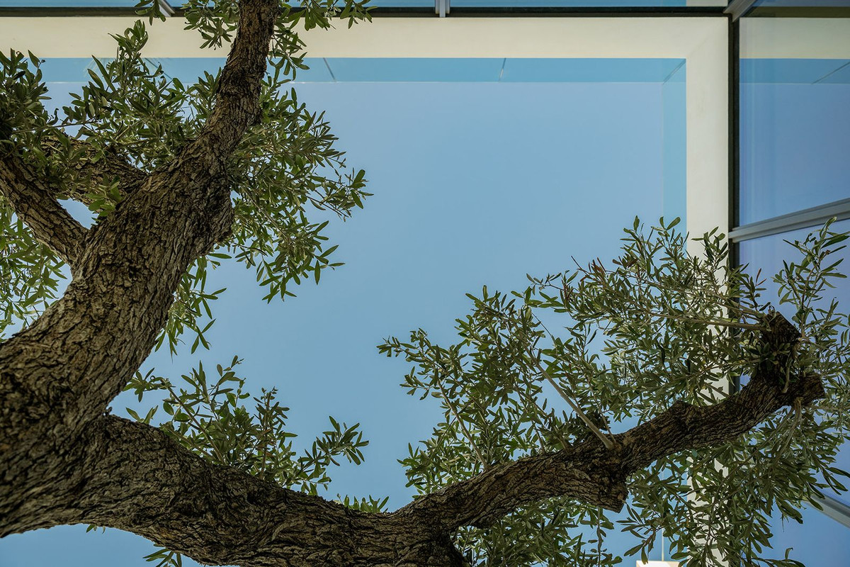 e5b35cbd589a8f3cca24637d01a622ad - 31