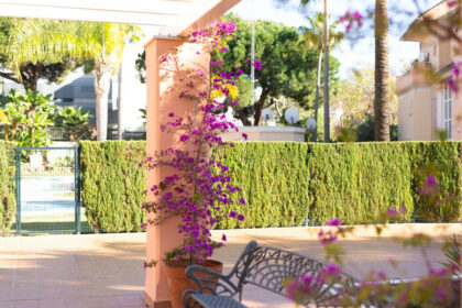 e6625bd718e393cf7807495e47d0b47d - 16