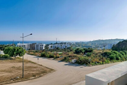 e731466ce79a480412a0791b9c72653e - 1