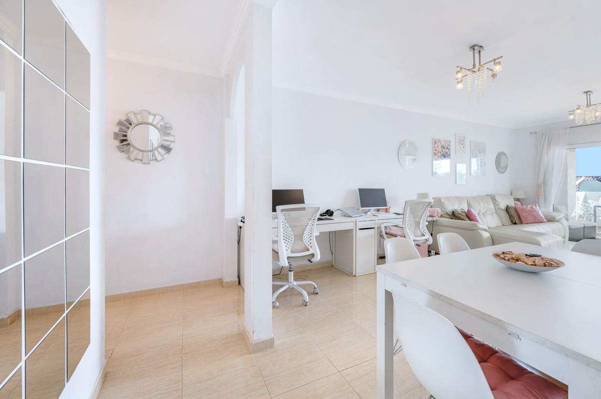 e80959e60b19012c86422a08c55183ea - 24