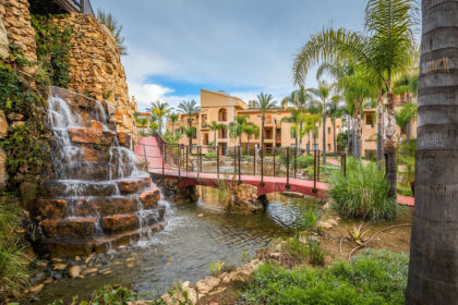 e81ad8894ab3e15a5b152d1f9cd51239 - 26