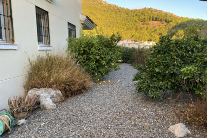 e8e4bc981b608bcf3c075ab138678223 - 17