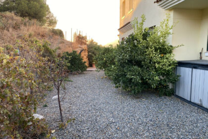 e8e4bc981b608bcf3c075ab138678223 - 19