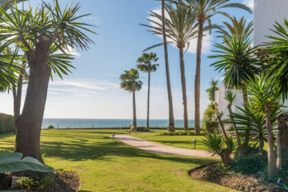 e98f2cf17b752c2f03c4a7867f319288 - 29