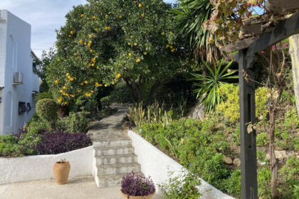 ea37882f18f98fb969299c99ea21c8a4 - 29