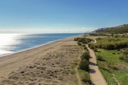 eb7e42c5eee601c3596dd03e83aec1e4 - 24