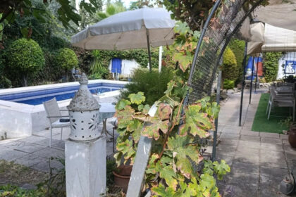 ebeda6d4117cb835600b1ae76a0933e8 - 55