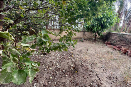 ec27932dd77e7d04bece0dfaba8bd1c6 - 29