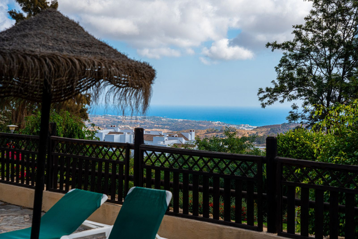 ec4c3d67075a421502100dc4094f6a29 - 29