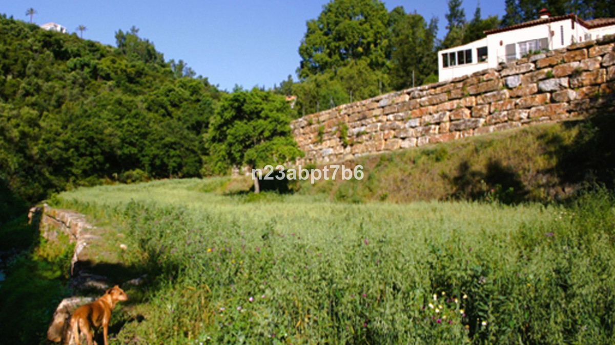 ec637bc13877c74854f20514e067bd15 - 10