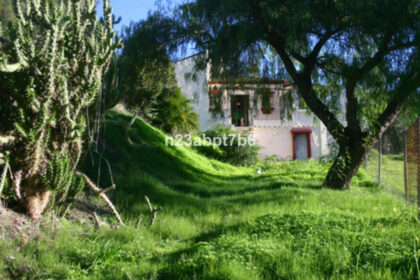 ec637bc13877c74854f20514e067bd15 - 9