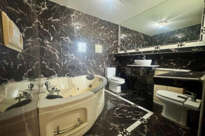 ed739c175384b64c04d12b72a2508c17 - 30