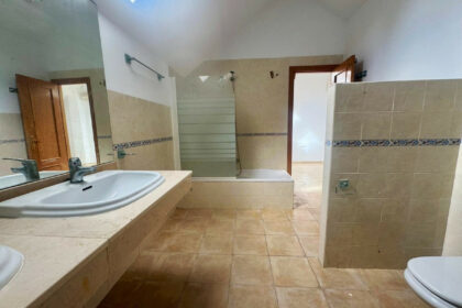 ed739c175384b64c04d12b72a2508c17 - 32