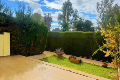 ed739c175384b64c04d12b72a2508c17 - 7