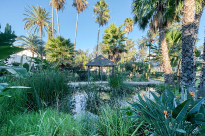 ee65c25f15962514ed8dcaca9b05f291 - 18